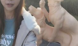 韩国直播美味性爱,引发社会热议