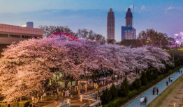 吃瓜爆料抖音网红大川